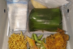 Nasi-Kotak-Tasikmalaya